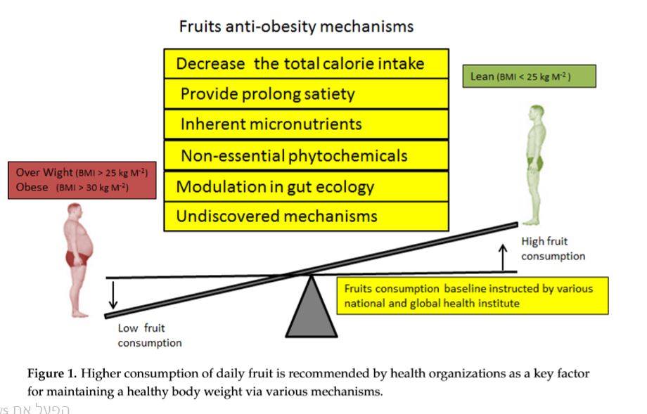סוכר הפירות- מה צריך לדעת